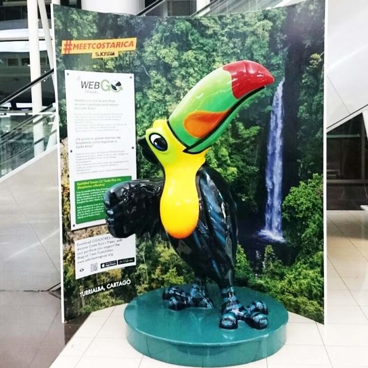 Tucán MeetCostaRica
